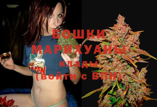 амф Мегион